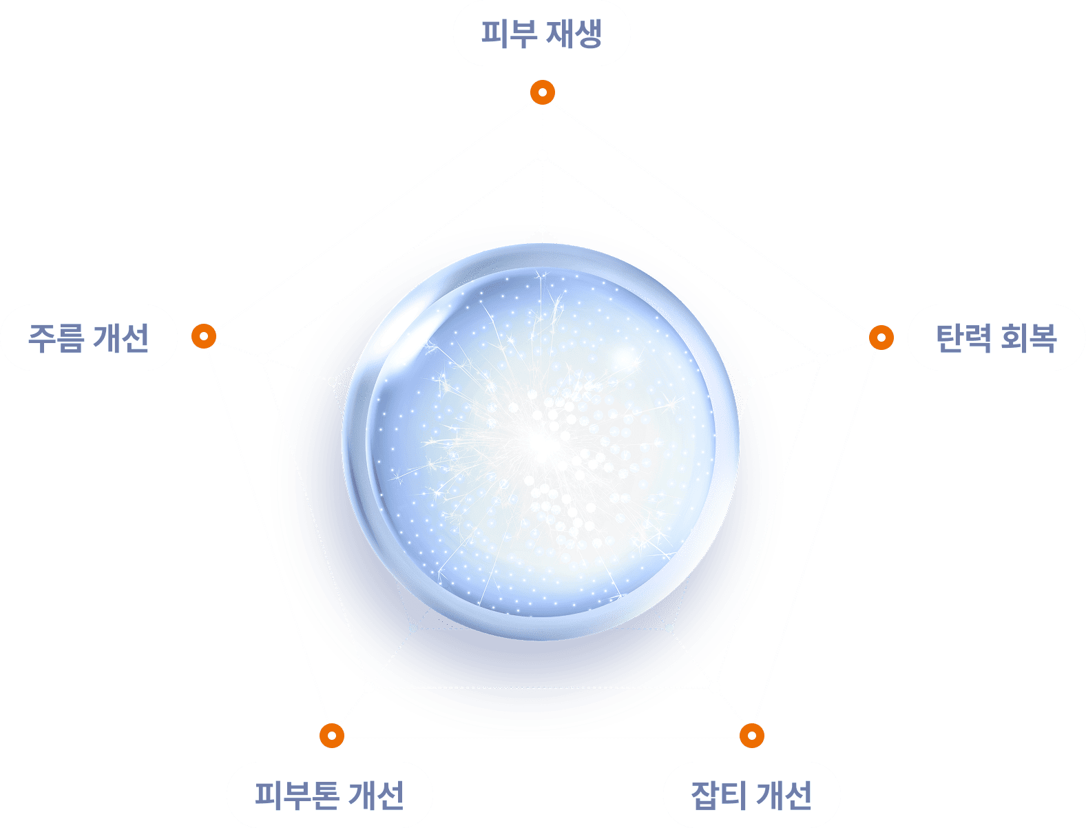 피부 재생/주름 개선/피부튼 개선/잡티 개선/탄력 회복